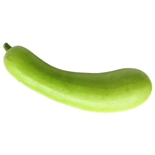 DUDHI (Bottle Gourd)(1)