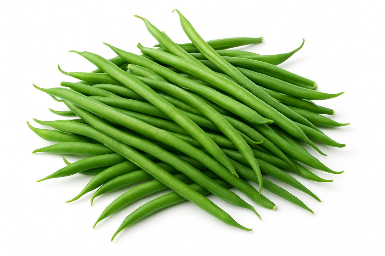 WhatsApp Image 2025-11-19 at 09.23.57