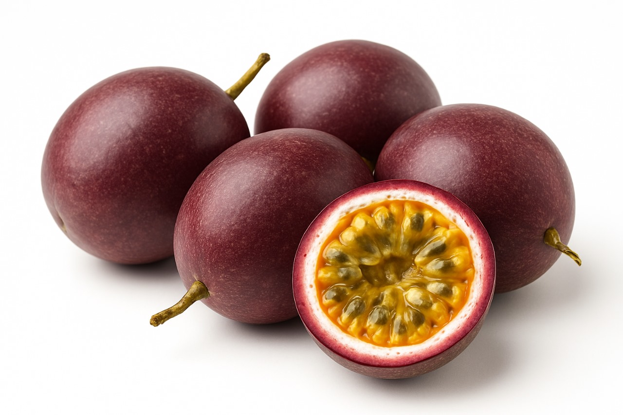 WhatsApp Image 2025-11-19 at 09.26.48