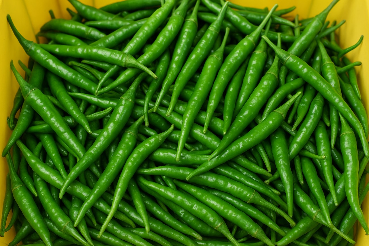 WhatsApp Image 2025-11-19 at 09.31.47