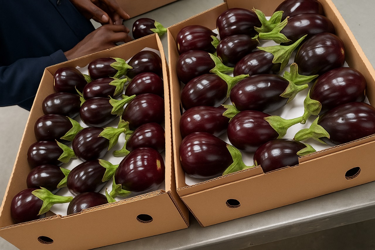 forever green growers (13)