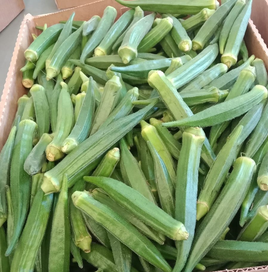 forever-green-growers-8