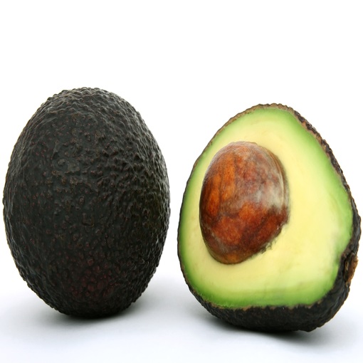 fuerte avocado(1)